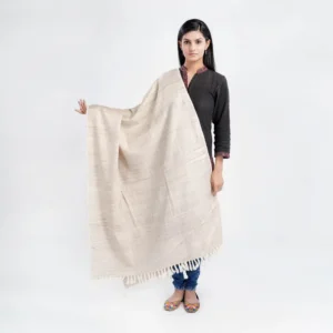 Tasar Silk Shawls